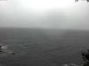 ./images/koeye/fitz-hugh/20141021/fitz-hugh20141021_140001.jpg