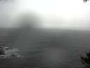 ./images/koeye/fitz-hugh/20141021/fitz-hugh20141021_140502.jpg
