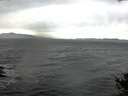 ./images/koeye/fitz-hugh/20141021/fitz-hugh20141021_142001.jpg