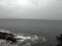 ./images/koeye/fitz-hugh/20141021/fitz-hugh20141021_161502.jpg