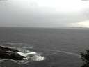 ./images/koeye/fitz-hugh/20141021/fitz-hugh20141021_164002.jpg