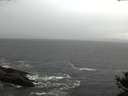 ./images/koeye/fitz-hugh/20141021/fitz-hugh20141021_164502.jpg