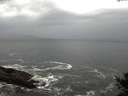 ./images/koeye/fitz-hugh/20141021/fitz-hugh20141021_170503.jpg