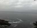 ./images/koeye/fitz-hugh/20141021/fitz-hugh20141021_180502.jpg