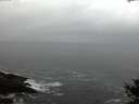 ./images/koeye/fitz-hugh/20141021/fitz-hugh20141021_181002.jpg