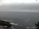 ./images/koeye/fitz-hugh/20141021/fitz-hugh20141021_181502.jpg