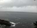 ./images/koeye/fitz-hugh/20141021/fitz-hugh20141021_182001.jpg