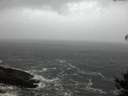 ./images/koeye/fitz-hugh/20141021/fitz-hugh20141021_182501.jpg