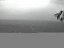 ./images/koeye/fitz-hugh/20141021/fitz-hugh20141021_184501.jpg