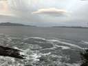 ./images/koeye/fitz-hugh/20141022/fitz-hugh20141022_074002.jpg