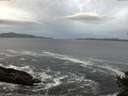 ./images/koeye/fitz-hugh/20141022/fitz-hugh20141022_074503.jpg