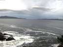 ./images/koeye/fitz-hugh/20141022/fitz-hugh20141022_075001.jpg
