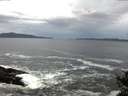 ./images/koeye/fitz-hugh/20141022/fitz-hugh20141022_075503.jpg