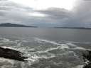 ./images/koeye/fitz-hugh/20141022/fitz-hugh20141022_080003.jpg