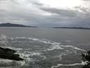 ./images/koeye/fitz-hugh/20141022/fitz-hugh20141022_080502.jpg