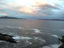 ./images/koeye/fitz-hugh/20141022/fitz-hugh20141022_081002.jpg