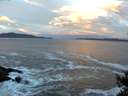 ./images/koeye/fitz-hugh/20141022/fitz-hugh20141022_081503.jpg
