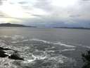 ./images/koeye/fitz-hugh/20141022/fitz-hugh20141022_083503.jpg