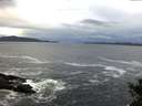 ./images/koeye/fitz-hugh/20141022/fitz-hugh20141022_084003.jpg