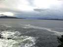 ./images/koeye/fitz-hugh/20141022/fitz-hugh20141022_084503.jpg