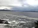 ./images/koeye/fitz-hugh/20141022/fitz-hugh20141022_085002.jpg