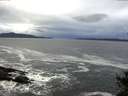 ./images/koeye/fitz-hugh/20141022/fitz-hugh20141022_085503.jpg