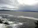 ./images/koeye/fitz-hugh/20141022/fitz-hugh20141022_090502.jpg