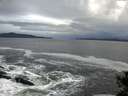 ./images/koeye/fitz-hugh/20141022/fitz-hugh20141022_091002.jpg
