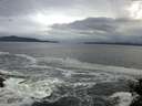 ./images/koeye/fitz-hugh/20141022/fitz-hugh20141022_091501.jpg