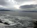 ./images/koeye/fitz-hugh/20141022/fitz-hugh20141022_092002.jpg