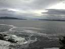 ./images/koeye/fitz-hugh/20141022/fitz-hugh20141022_092501.jpg