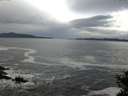 ./images/koeye/fitz-hugh/20141022/fitz-hugh20141022_093502.jpg