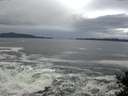 ./images/koeye/fitz-hugh/20141022/fitz-hugh20141022_094002.jpg