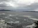 ./images/koeye/fitz-hugh/20141022/fitz-hugh20141022_094501.jpg