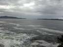 ./images/koeye/fitz-hugh/20141022/fitz-hugh20141022_095002.jpg