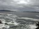 ./images/koeye/fitz-hugh/20141022/fitz-hugh20141022_100002.jpg