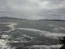 ./images/koeye/fitz-hugh/20141022/fitz-hugh20141022_100501.jpg