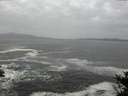 ./images/koeye/fitz-hugh/20141022/fitz-hugh20141022_102502.jpg