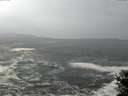 ./images/koeye/fitz-hugh/20141022/fitz-hugh20141022_103502.jpg
