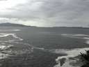 ./images/koeye/fitz-hugh/20141022/fitz-hugh20141022_111003.jpg