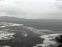 ./images/koeye/fitz-hugh/20141022/fitz-hugh20141022_115001.jpg