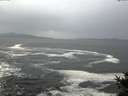 ./images/koeye/fitz-hugh/20141022/fitz-hugh20141022_120502.jpg