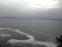 ./images/koeye/fitz-hugh/20141022/fitz-hugh20141022_135002.jpg