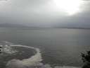 ./images/koeye/fitz-hugh/20141022/fitz-hugh20141022_135502.jpg