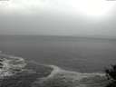 ./images/koeye/fitz-hugh/20141022/fitz-hugh20141022_142001.jpg