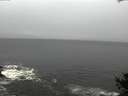 ./images/koeye/fitz-hugh/20141022/fitz-hugh20141022_145003.jpg