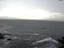./images/koeye/fitz-hugh/20141022/fitz-hugh20141022_151503.jpg
