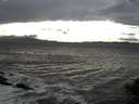 ./images/koeye/fitz-hugh/20141022/fitz-hugh20141022_153502.jpg