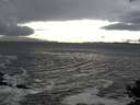 ./images/koeye/fitz-hugh/20141022/fitz-hugh20141022_154003.jpg