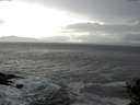 ./images/koeye/fitz-hugh/20141022/fitz-hugh20141022_155003.jpg